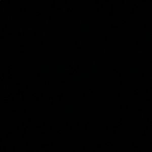 Meet your Posher, Ashton